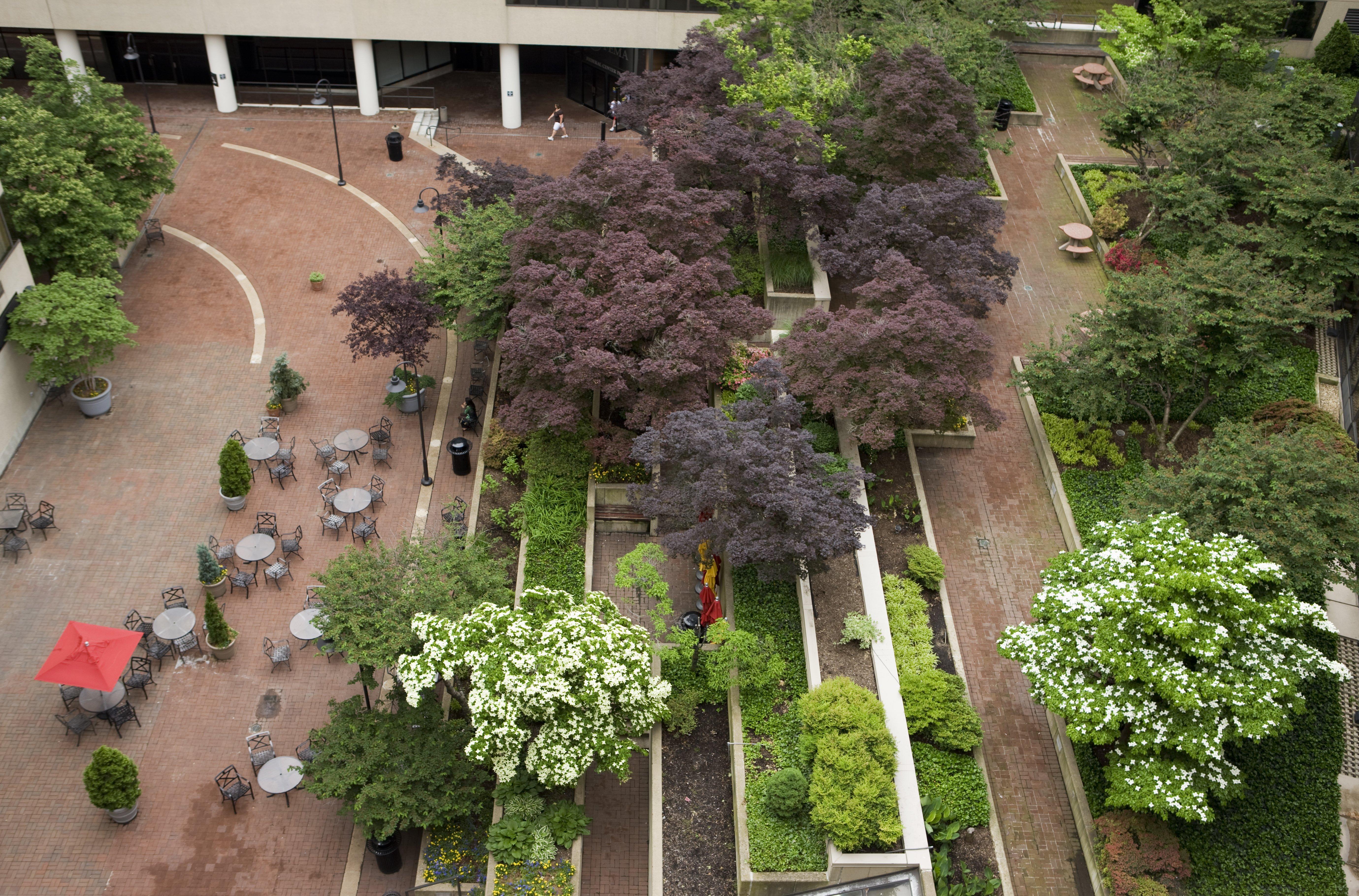 Holiday Inn Washington Capitol-National Mall By Ihg Exteriér fotografie